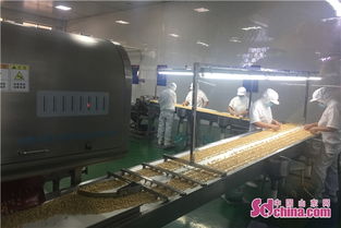 一口炒锅的传承 大成食品的花生传奇