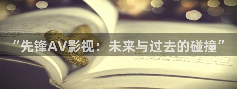 金牌特勤队2024电影在线观看