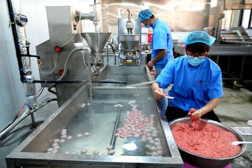 下洋牛产业 为乡村振兴添'牛'劲，引领食品销售新篇章