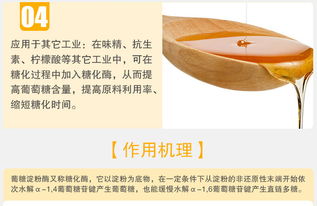 夏盛葡糖淀粉酶 高效糖化酶在食品工业中的专业应用