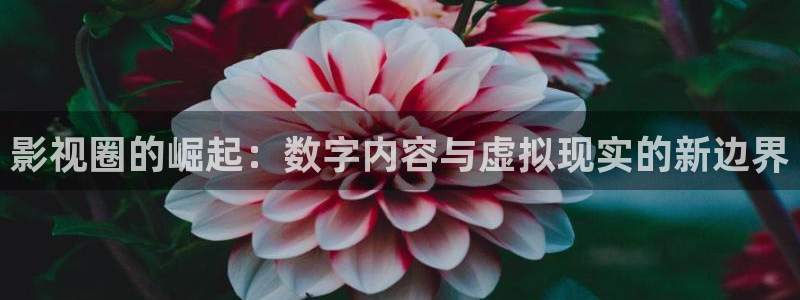 金牌影音
