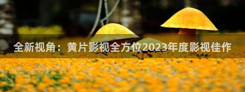 金牌切割片