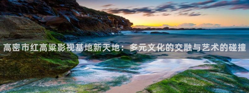 金牌影视在线观看免费高清全集
