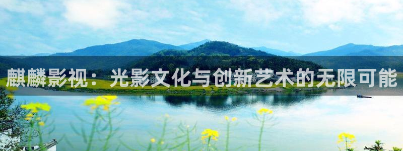 金牌特勤队2024电影在线观看