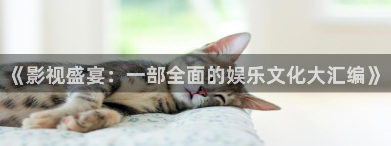 金牌电影在线观看