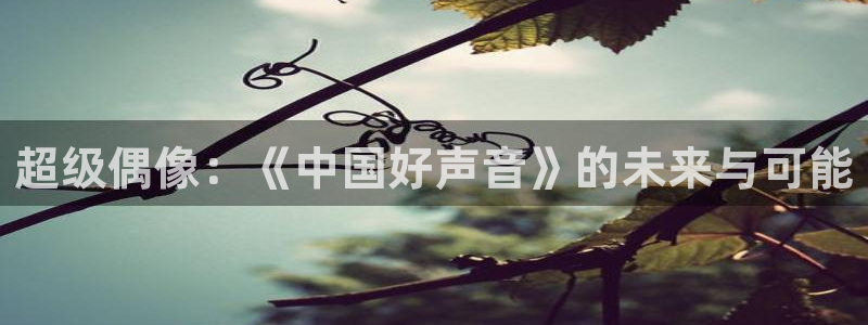 金牌影院免费在线观看