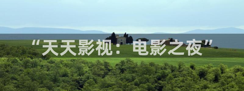 金牌特务电影
